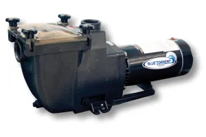 1.5 HP Typhoon Inground Pool Pump