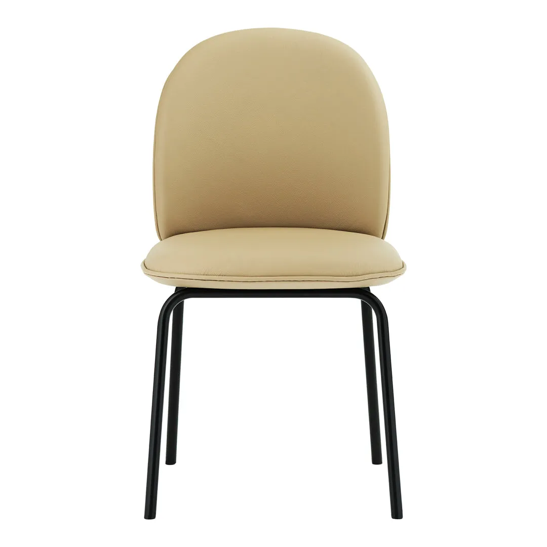 Ace Dining Chair