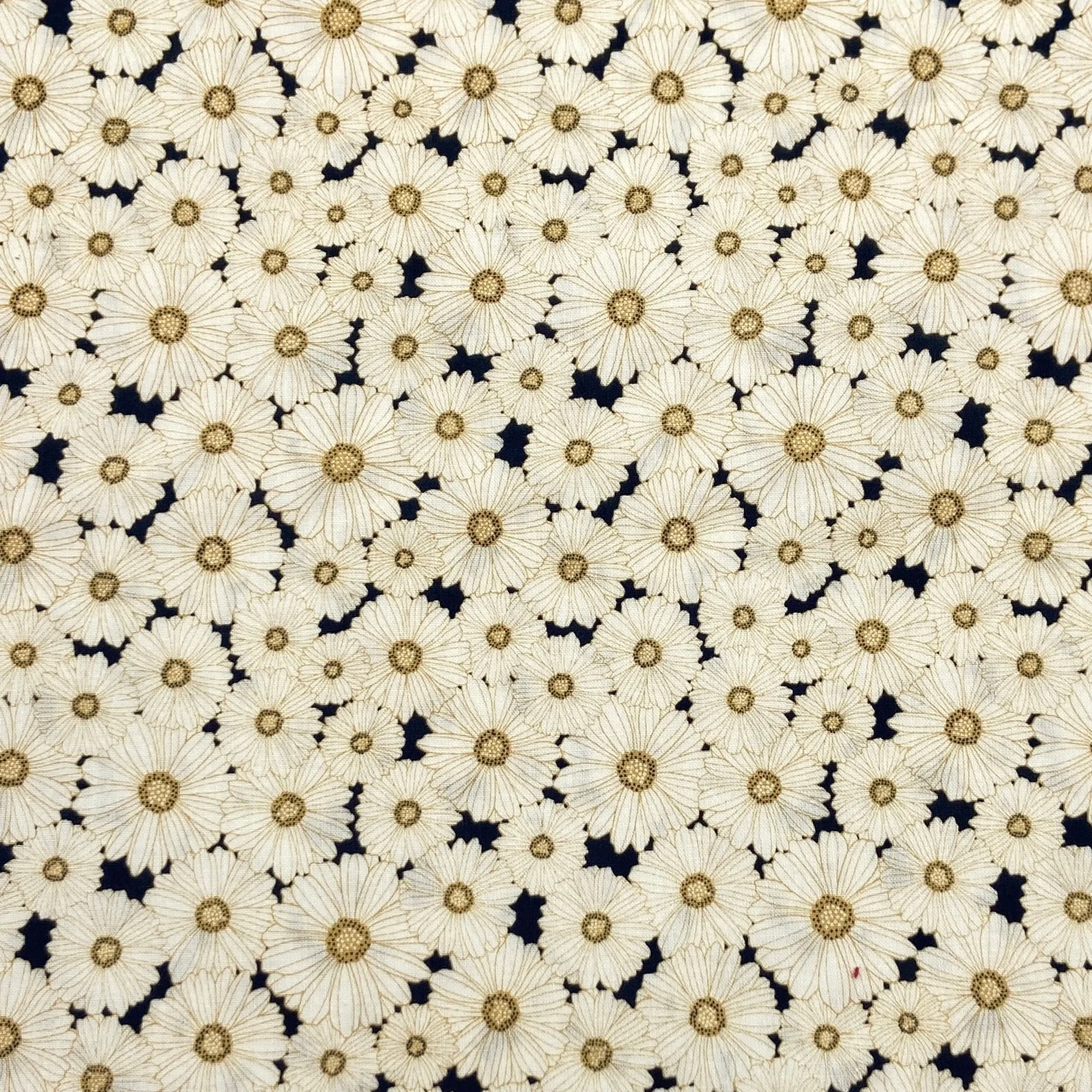 Daisy Navy | Daisy Mae | Quilting Cotton