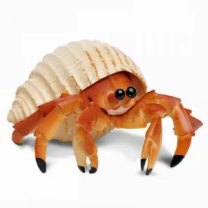 Hermit Crab