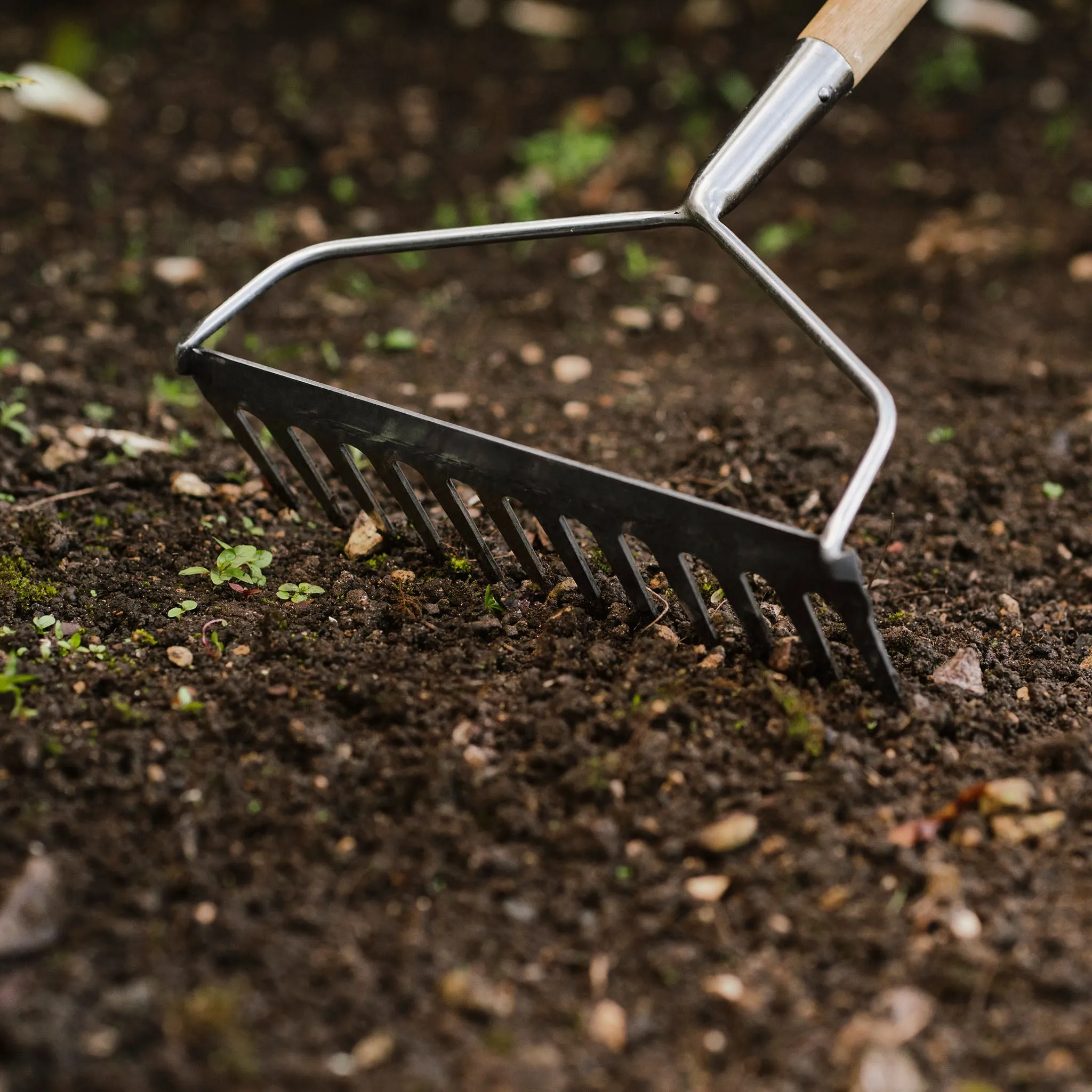 Kent & Stowe Garden Life Stainless Steel Soil Rake