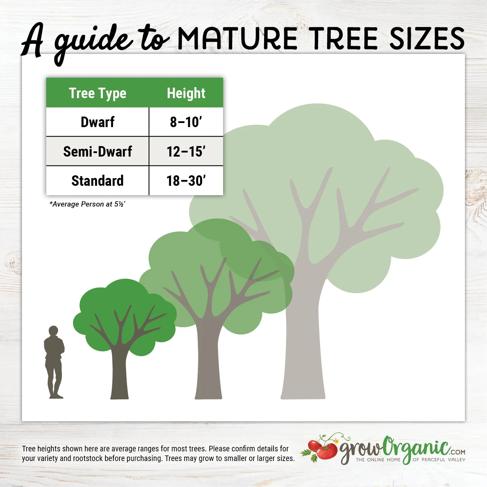 "Constant Harvest" Pluot 3 on 1 Multiple Grafted Fruit Tree